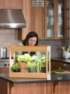 Bamboo Mini LED Grow Light Garden -Garden Supplies Shop 8599624 12532 tif