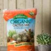 Espoma Cactus Potting Mix, 4 Quart -Garden Supplies Shop 8599789 18448 tif
