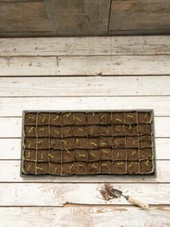 Paper Pots, 50 Cell 12 Paper Pots, 50 Cell -Garden Supplies Shop 8599830 18489 tif