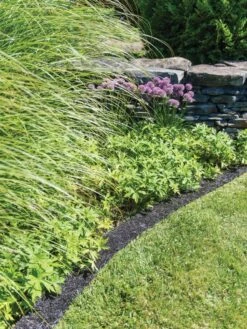 Recycled Rubber Mulch Edging, 12’ X 6” 9 Recycled Rubber Mulch Edging, 12’ X 6” -Garden Supplies Shop 8599854 0897 tif