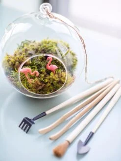 Terrarium Tools, Set Of 4 -Garden Supplies Shop 8599884 01V tif