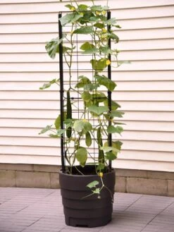 Gardener’s Victory Self-Watering Planter Garden With Vine Trellis -Garden Supplies Shop 8600177 9876 tif 1