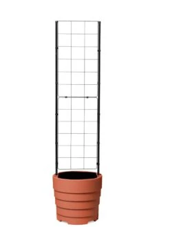 Gardener’s Victory Self-Watering Planter With Vine Trellis -Garden Supplies Shop 8600178 7000 tif