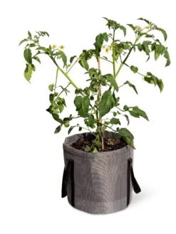 Reinforced Colorful Grow Bags -Garden Supplies Shop 8600229 0944 tif