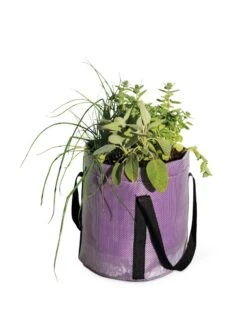 Reinforced Colorful Grow Bags -Garden Supplies Shop 8600230 0948 tif