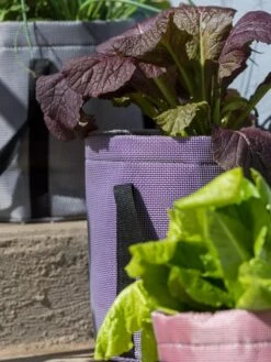 Reinforced Colorful Grow Bags -Garden Supplies Shop 8600230 20013 tif