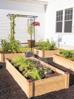 Copper Cap Raised Beds -Garden Supplies Shop 8600497 0530 tif