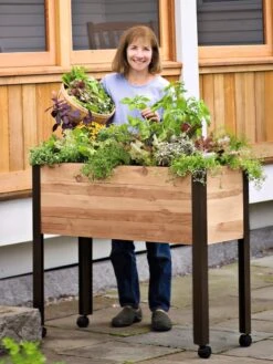 Rolling Patio Garden 10 Rolling Patio Garden -Garden Supplies Shop 8608781 01 tif