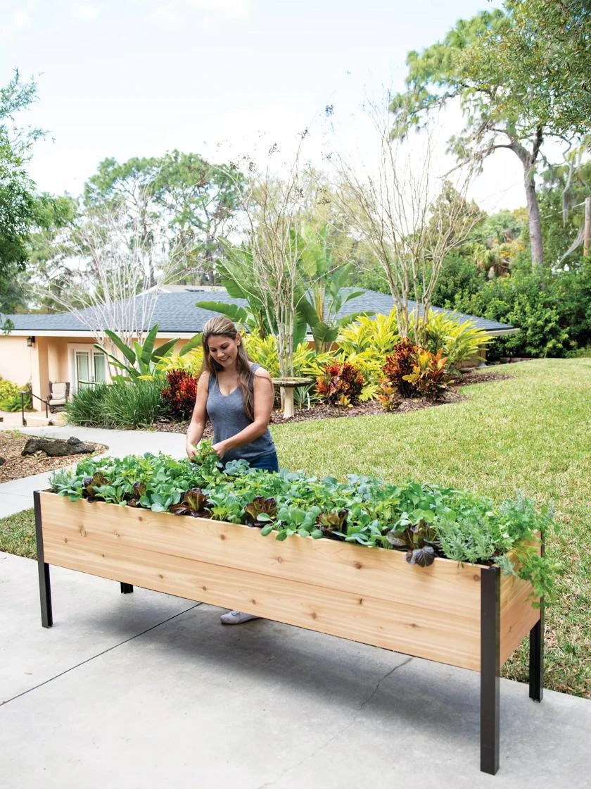 Self-Watering Elevated Planter Box, 2' X 8' 3 Self-Watering Elevated Planter Box, 2' X 8'