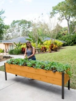 Self-Watering Eco-Stained Elevated Planter Box, 2' X 8' -Garden Supplies Shop 8608965 6069 tif