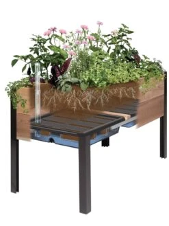 Self-Watering Eco-Stained Elevated Planter Box, 2' X 8' -Garden Supplies Shop 8609009 SW insert art 2021 tif 3