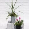 Metal Bucket Planters -Garden Supplies Shop 8609086 5623 tif