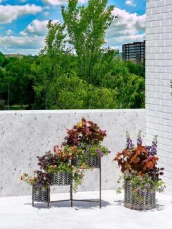 Galvanized Grow Bag Triple Planters With Stand -Garden Supplies Shop 8609180 0344 tif