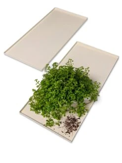 Oslo Grow Light Garden Trays, Set Of 2 -Garden Supplies Shop 8609187 7686 tif