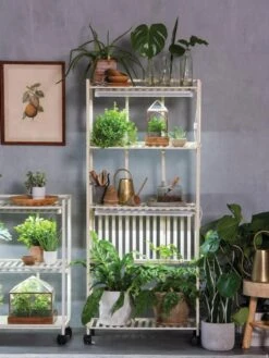 Oslo 4-Tier LED Grow Light Garden -Garden Supplies Shop 8609188 4118 tif