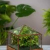 Art Decco Copper And Glass Terrariums 1 Art Decco Copper And Glass Terrariums -Garden Supplies Shop 8609210 0318 tif