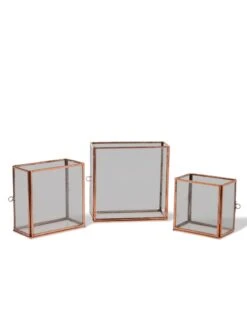 Copper And Glass Terrariums, Set Of 3 7 Copper And Glass Terrariums, Set Of 3 -Garden Supplies Shop 8609212 0851 tif