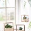 Copper And Glass Terrariums, Set Of 3 -Garden Supplies Shop 8609212 2964 tif