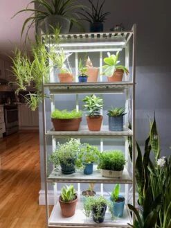 Oslo 4-Tier LED Grow Light Garden -Garden Supplies Shop 8609220 03IN tif