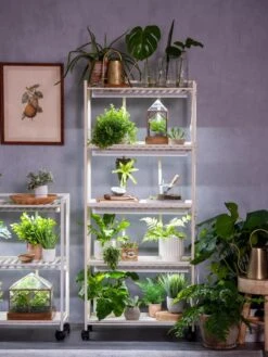 Oslo 4-Tier LED Grow Light Garden -Garden Supplies Shop 8609220 4116 tif