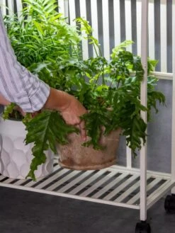 Oslo 2-Tier LED Grow Light Garden, 2 Fixtures -Garden Supplies Shop 8609220 4122 tif