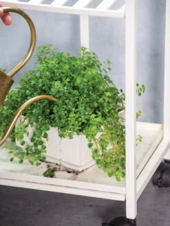 Oslo 2-Tier Plant Stand With Folding Shelves 11 Oslo 2-Tier Plant Stand With Folding Shelves -Garden Supplies Shop 8609220 4137 tif 1