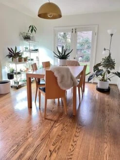 Oslo 2-Tier LED Grow Light Garden, 2 Fixtures -Garden Supplies Shop 8609221 01IN tif