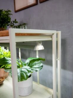 Oslo 2-Tier LED Grow Light Garden, 2 Fixtures -Garden Supplies Shop 8609221 4101 tif