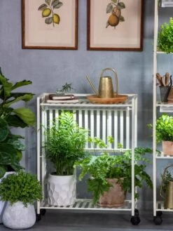 Oslo 2-Tier LED Grow Light Garden, 2 Fixtures -Garden Supplies Shop 8609221 7236 tif