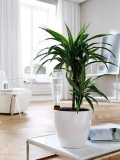 Hydro Wine Container Watering System, Set Of 4 12 Hydro Wine Container Watering System, Set Of 4 -Garden Supplies Shop 8609224 02V tif