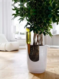 Hydro Wine Container Watering System, Set Of 4 13 Hydro Wine Container Watering System, Set Of 4 -Garden Supplies Shop 8609224 04V tif