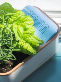 Dewplanter -Garden Supplies Shop 8609512 04V