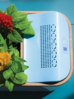 Dewplanter -Garden Supplies Shop 8609512 Dewplanter