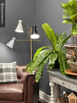 Adjustable 3-Arm Grow Lamp -Garden Supplies Shop 8609868 01IN tif