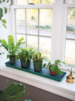 Self-Watering Windowsill Tray -Garden Supplies Shop 8609873 9011 tif