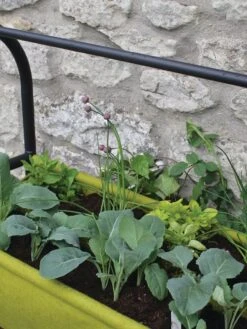 Vigoroot™ Self-Watering Easy Garden Planter -Garden Supplies Shop 8609879 04V tif