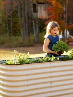 Birdies™ Modular Metal Raised Bed, Tall -Garden Supplies Shop 8610174 5015 tif