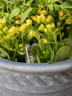 Adjustable Self-Watering Insert For Pots And Planters 21 Adjustable Self-Watering Insert For Pots And Planters -Garden Supplies Shop 8610250 0010 tif