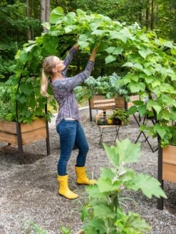 2’ X 8’ Arch Trellis For Planter Boxes -Garden Supplies Shop 8610798 050 tif