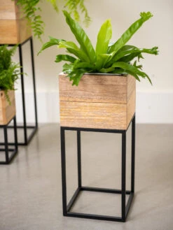 Tartu Elevated Square Planters -Garden Supplies Shop 8611005 035