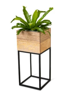 Tartu Elevated Square Planters -Garden Supplies Shop 8611005 036