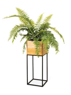 Tartu Elevated Square Planters -Garden Supplies Shop 8611006 033
