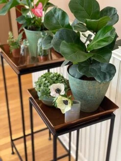 Square Nesting Plant Stands With Trays, Set Of 2 -Garden Supplies Shop 8611014 3651 tif