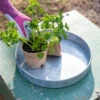 Galvanized Tray Round, 11" -Garden Supplies Shop 8611075 031 galvanized tray round 11 inch