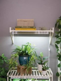 Oslo LED Grow Light Wall Shelf -Garden Supplies Shop 8611516 8400 tif