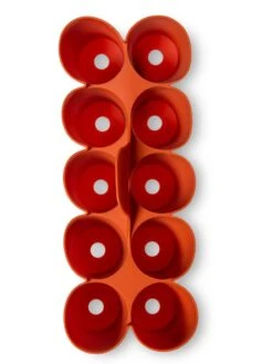 Sili-Seedlings® Seedling Tray, 10-Cell -Garden Supplies Shop 8611886 3821 tif