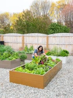 Somerset Metal Raised Beds, As Is -Garden Supplies Shop 8612020 0014 tif 1