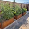 Nice Corten Trough Planters With Trellis -Garden Supplies Shop 8612390 02V jpg