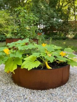 Birdies™ Corten Steel Round Raised Beds 11 Birdies™ Corten Steel Round Raised Beds -Garden Supplies Shop 8612422 0484 tif