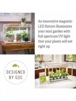 Tabletop Grow Kit -Garden Supplies Shop 8612507 4